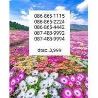ราคา dtac เบอร์สวย เบอร์จำง่าย เลขตอง เลขเบิ้ล (9414271616)