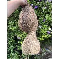 ราคา รังนกกระจิบ กระจาบรังนกคู่แฝด น่ารักประดับบ้าน (8116176079)