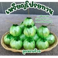 ราคา เหรียญโปรยทานมะพร้าวสีเขียว เหรียญโปรยทาน เหรียญโปรยทานตัวเปล่า (50ชิ้น/แพ็ค) (40308165361)