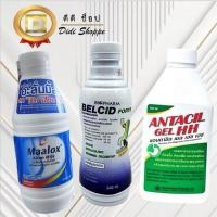 ราคา ยาน้ำลดกรด เคลือบแผลในกระเพาะอาหาร Maalox, Belcid Forte, Antacil Gel ขนาด 240 ml. (28850322816)