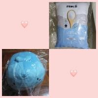 ราคา ขาย 2ใบ 250.-หมอนผ้าห่ม (11878569448)