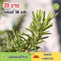 ราคา เมล็ดพันธุ์โรสแมรี่ 50 เมล็ด (47750232221)