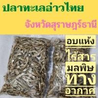 ราคา ปลาฉิ้งฉ้าง @ทะเลอ่าวไทย ปลาจิ้งจั้ง ปลาฉิ้งฉั้ง สุราษฎร์ธานี ปลาวันต่อวัน 500 กรัม (5520712316)