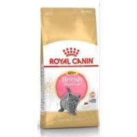 ราคา Royal Canin Kitten British Shorthair (19426912183)