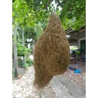 ราคา รังนกกระจาบ บ้านนกธรรมชาติ เรียกทรัพย์ รังนกมงคล 1 รัง มีบริการเก็บเงินปลายทาง sp# 4 (14097841795)