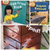 ราคา Read with Biff Chip&Kipper Phonics :Level5(ปกแข็งมือสอง)-be2/1 (13403341228)