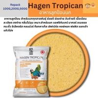 ราคา Hari Tropican อาหารนกลูกป้อน อาหารนก แบ่งขาย สินค้าพร้อมส่ง (23580519505)