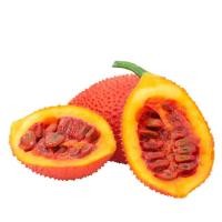 ราคา ฟักข้าวคุ้มที่สุด 25 บ.เมล็ดพันธุ์ฟักข้าว 5 เมล็ดปลูกง่ายโตไวผลดก (24264441849)