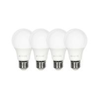 ราคา CARINI หลอด LED A60 ECOLIFE 9 วัตต์ WARM WHITE E27 แพ็ก 4 ชิ้น จัดส่งโดย HomePro (26374388359)