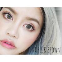 ราคา คอนแทคเลนส์ ✨ขนาดบิ๊กอาย ✨Brown✨ Nobluk (Bigeye) Dreamcolor (2674020336)