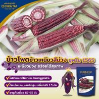 ราคา เมล็ดพันธุ์ข้าวโพดข้าวเหนียวสีม่วง ซูพรีม เจียไต๋ 500g (17558779499)