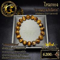 ราคา ไหมทองนางพญาเสือโคร่ง เป็นไหมแคทอายที่ราคาดีที่สุด มาก!! (20496533984)