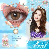 ราคา คอนแทคเลนส์ ✨ขนาดมินิ ✨Brown✨Ariel (Sweetyplus) (9110575672)