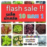 ราคา โปร 5 บาท เมล็ดพันธุ์ผักสลัด เมล็ดผัก ขายดี 100-300เมล็ด เมล็ดผักสลัดต่างประเทศ ปลูกลงดิน ปลูกในน้ำ ชุดที่1 (8501294576)