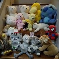ราคา หมีโกดั้คติช สินค้าติดจองในไลฟ์18/12 k.patchara (14995863175)