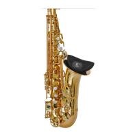 ราคา กระเป๋าใส่ปาก+คอ เทเนอร์ แซกฯ BG รหัส PT1 (Yong Seng Music) (11654848456)