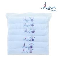 ราคา ✨ผ้าอ้อม Amusant by Enfant แพค6ผืน (4719183503)