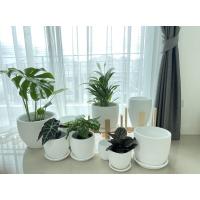 ราคา กระถางดินเผาMinimal Styleสีขาว ทรงไข่6นิ้ว, 8นิ้ว ,10 นิ้ว (13731439023)