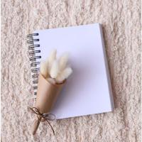 ราคา ช่อหางกระต่ายจิ๋ว ดอกหญ้าหางกระต่าย หญ้าหางกระต่าย ฟอกขาว พร๊อพถ่ายรูป (22384141925)