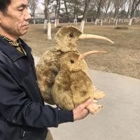 ราคา ของแท้การค้าต่างประเทศขนาดใหญ่กีวีนกกีวีตุ๊กตาหมอนขนาดใหญ่พิเศษนกกีวีของเล่นจำลองของเล่นตุ๊กตาของขว (27370561757)