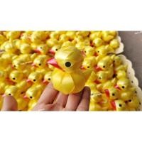 ราคา เหรียญโปรยทานการ์ตูน/เป็ด/(ตัวเปล่า) ราคาต่อ 1 ตัว (4568402972)