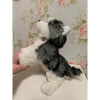 ราคา ตุ๊กตาน้องหมาไซบีเรียนฮัสกี้ Siberian Husky Puppy งาน DOUGLAS ป้ายตัด (40256452527)