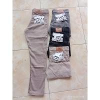 ราคา Chino Chino CROCODILE ยืด (24494677559)