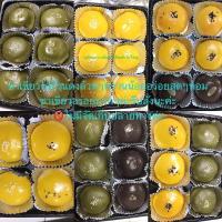 ราคา ขนมเปี๊ยะไข่เค็มลาวา,ชาเขียวไส้ถั่วแดง,ไส้ทุเรียน,ไส้ช็อกดาร์กจัดส่ง21/7❌ไม่รับเก็บปลายทางจ้า (3245397091)