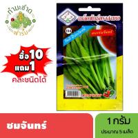 ราคา 3A (ซื้อ10แถม1) เมล็ดพันธุ์ ชมจันทร์ ขนาด1กรัม ประมาณ5เมล็ด Chomchan ดอกชมจันทร์ เมล็ดพันธุ์พืช เมล็ดผัก ปลูกผักสวนครัว (3418085627)