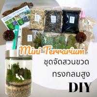 ราคา ชุดจัดสวนขวด สวนขวด Terrarium ขวดกลมพรีเมียม ไซค์ XL (22471783720)