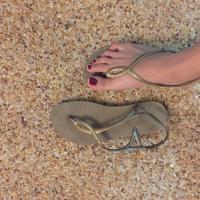 ราคา รองเท้า havaianas (148722862)