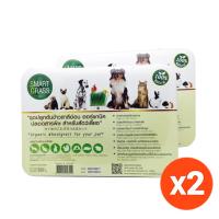 ราคา [แพ็คคู่ 2 ชุด] SMART GRASS(Organic) ชุดปลูกข้าวสาลีอ่อน ปลอดสารพิษ ---(แพ็คคู่ สุดค้ม) (2 ชุด) (1229363227)