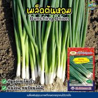 ราคา เมล็ดต้นหอม Bunching Onion ตราภูเขาทอง เมล็ดพันธุ์ผัก เมล็ดผักสวนครัว เมล็ดหอมแบ่ง ต้นหอม หอมแบ่ง เมล็ดพันธุ์ต้นหอม (12912142381)