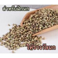 ราคา [ฮวยมั้ว] เมล็ดฮวยมั้ว สำหรับฝึกนก ให้รางวัลนก ฟอพัส ซันคอนนัวร์ คอกคาเทล เลิฟเบิร์ด 50g (15456909100)