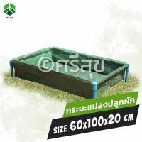 ราคา กะบะปลูกผัก 60x100x22cmกะบะเพาะปลูกแปลงผักเพาะปลูกๆกะบะใส่ดินปลูกต้นไม้แปลงปลูกผักถุงกะบะปลูก (9037933570)