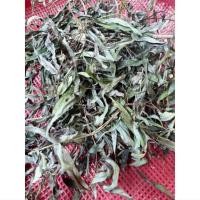 ราคา เครือตดหมูตดหมาหรือกะพังโหมอบแห้ง บรรจุ 25 กรัม (55503200779)