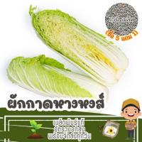ราคา เมล็ด ผักกาดหางหงส์ แบ่งขาย (ซื้อ 5 แถม 1) (25184712119)