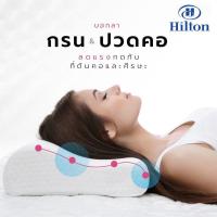 ราคา หมอนยางพารา Hilton พร้อมส่ง (5184413872)