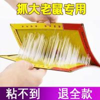 ราคา กระดานเมาส์เหนียว กับดักหนู เครื่องมือที่มีประโยชน์ เมาส์เหนียว คลิปดักหนูในครัวเรือน กาวซุปเปอร์ สติ๊กเกอร์เมาส์เหนียว เหนียวสุด อินโด (54205422513)