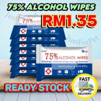 ราคา ANTI BACTERIA 99.99% 10 ชิ้น Sanitizing Wet Wipes 75% แอลกอฮอล์ 99.9% ฆ่าเชื้อต้านเชื้อแบคทีเรีย (26276083084)