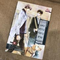 ราคา ⭐️แสงสว่างที่กลางใจ⭐️ นิยายวาย นิยายY นิยายวายมือสองสภาพดี (12138337614)