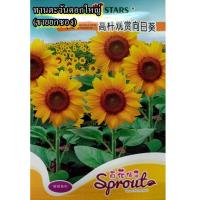 ราคา (ขายยกซอง) ซองละประมาณ 12 เมล็ด เมล็ดทานตะวันดอกใหญ่ (ต้นสูง 80-100 ซม.) (22857678155)
