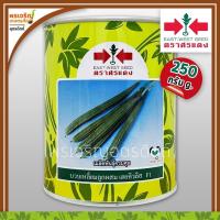 ราคา เมล็ดพันธุ์ บวบเหลี่ยม เฮอคิวลิส F1 (250 กรัม) เมล็ดบวบเหลี่ยมศรแดง บวบเหลี่ยมลูกผสม เมล็ดพันธุ์ผักสวนครัว ตราศรแดง (3682637277)