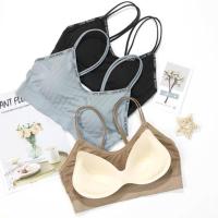 ราคา ✨love secret bra✨บรายกกระชับทรง สุดเซกซี่ ปี 2020 ขอบภาษาอังกฤษ (5334894521)