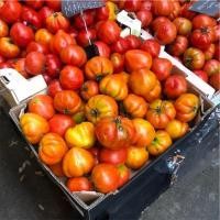 ราคา 25 เมล็ด เมล็ดมะเขือเทศ สายพันธุ์นอก ปลูกผักทาน ปลอดสารพิษ Tomato seeds สายพันธุ์ Merinda (26242578155)