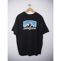 ราคา Patagonia Fitz tee มือสองแท้ (43067601857)