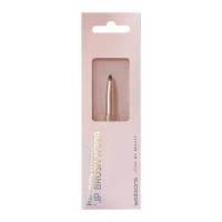 ราคา Watsons วัตสัน พู่กันทาปาก 017WTC (28230986216)