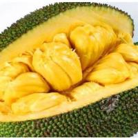 ราคา ต้นจำปาดะ พันธุ์ยวงทองนาทวี สูงประมาณ 70-80cm. (1ต้น/แพ็ค) (2682344671)