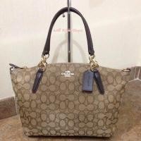 ราคา COACH mini kelsey bag (139154016)
