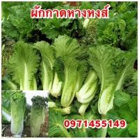 ราคา เมล็ดพันธ์ผักกาดหางหงส์ (9284395370)